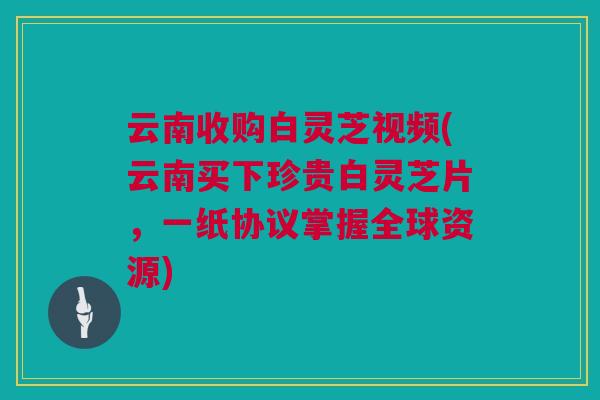云南收购白灵芝视频(云南买下珍贵白灵芝片，一纸协议掌握全球资源)