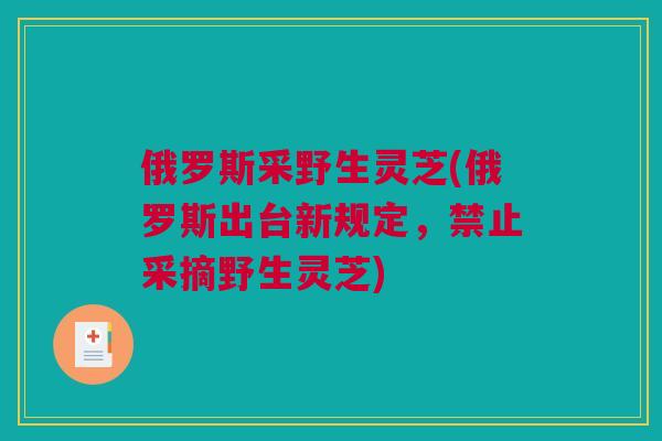 俄罗斯采野生灵芝(俄罗斯出台新规定，禁止采摘野生灵芝)