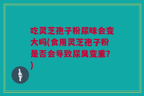 吃灵芝孢子粉尿味会变大吗(食用灵芝孢子粉是否会导致尿臭变重?) 吃灵芝孢子粉尿味会变大吗(食用灵芝孢子粉是否会导致尿臭变重?)