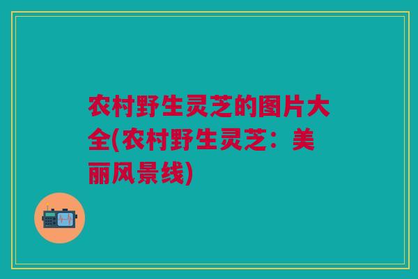 农村野生灵芝的图片大全(农村野生灵芝：美丽风景线)