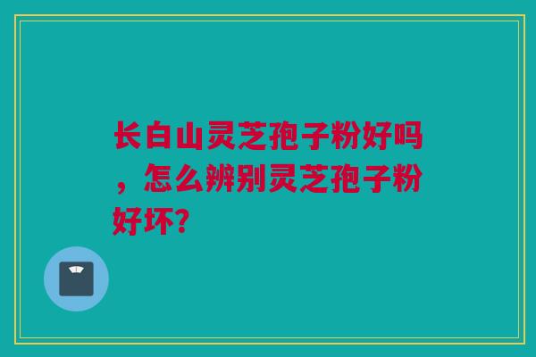 长白山灵芝孢子粉好吗，怎么辨别灵芝孢子粉好坏？