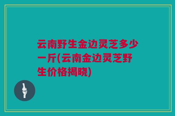 云南野生金边灵芝多少一斤(云南金边灵芝野生价格揭晓)