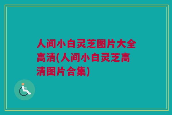 人间小白灵芝图片大全高清(人间小白灵芝高清图片合集)
