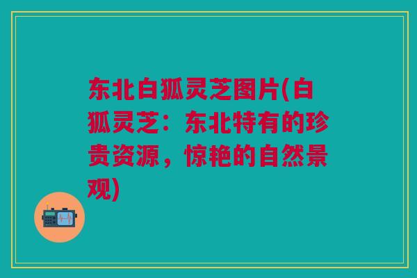 东北白狐灵芝图片(白狐灵芝:东北特有的珍贵资源,惊艳的自然景观) 东北白狐灵芝图片(白狐灵芝:东北特有的珍贵资源,惊艳的自然景观)