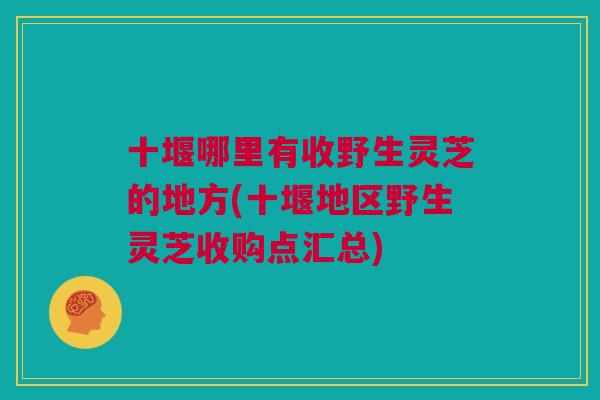 十堰哪里有收野生灵芝的地方(十堰地区野生灵芝收购点汇总) 十堰哪里有收野生灵芝的地方(十堰地区野生灵芝收购点汇总)