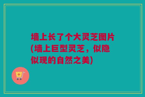 墙上长了个大灵芝图片(墙上巨型灵芝，似隐似现的自然之美)
