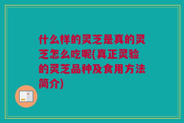 什么样的灵芝是真的灵芝怎么吃呢(真正灵验的灵芝品种及食用方法简介) 什么样的灵芝是真的灵芝怎么吃呢(真正灵验的灵芝品种及食用方法简介)