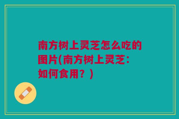 南方树上灵芝怎么吃的图片(南方树上灵芝：如何食用？)