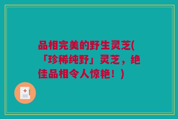 品相完美的野生灵芝(「珍稀纯野」灵芝，绝佳品相令人惊艳！)