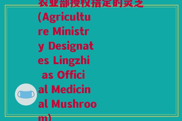 农业部授权指定的灵芝(Agriculture Ministry Designates Lingzhi as Official Medicinal Mushroom)