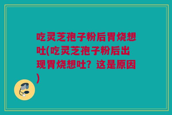 吃灵芝孢子粉后胃烧想吐(吃灵芝孢子粉后出现胃烧想吐？这是原因)