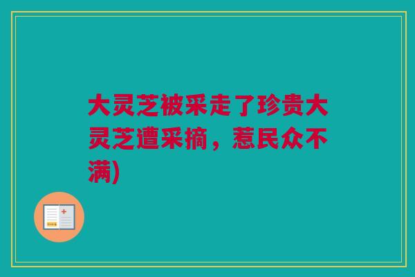 大灵芝被采走了珍贵大灵芝遭采摘,惹民众不满) 大灵芝被采走了珍贵大灵芝遭采摘,惹民众不满)