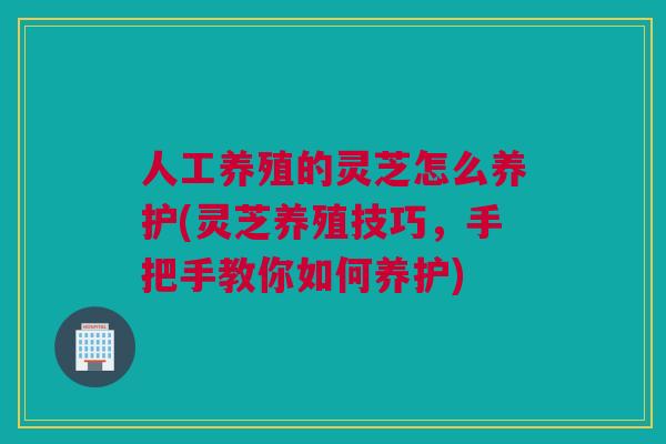 人工养殖的灵芝怎么养护(灵芝养殖技巧,手把手教你如何养护) 人工养殖的灵芝怎么养护(灵芝养殖技巧,手把手教你如何养护)