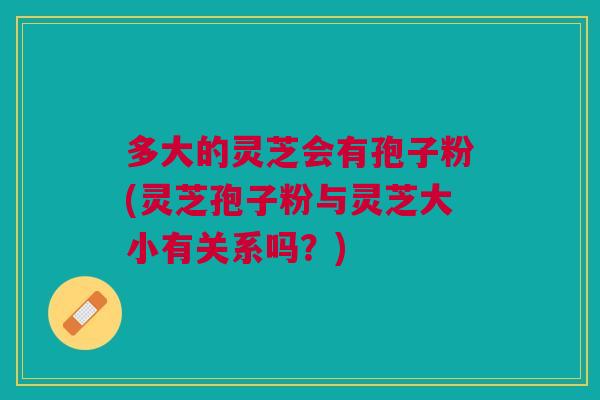 多大的灵芝会有孢子粉(灵芝孢子粉与灵芝大小有关系吗？)