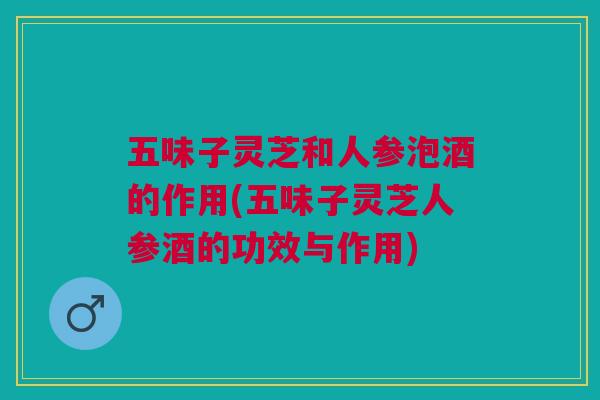 五味子灵芝和人参泡酒的作用(五味子灵芝人参酒的功效与作用) 五味子灵芝和人参泡酒的作用(五味子灵芝人参酒的功效与作用)