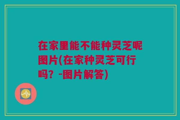 在家里能不能种灵芝呢图片(在家种灵芝可行吗?-图片解答) 在家里能不能种灵芝呢图片(在家种灵芝可行吗?-图片解答)