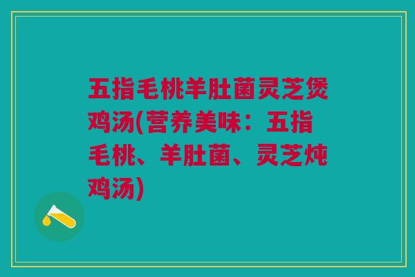 五指毛桃羊肚菌灵芝煲鸡汤(营养美味:五指毛桃、羊肚菌、灵芝炖鸡汤) 五指毛桃羊肚菌灵芝煲鸡汤(营养美味:五指毛桃、羊肚菌、灵芝炖鸡汤)