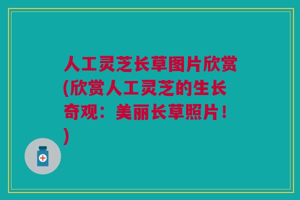 人工灵芝长草图片欣赏(欣赏人工灵芝的生长奇观:美丽长草照片!) 人工灵芝长草图片欣赏(欣赏人工灵芝的生长奇观:美丽长草照片!)
