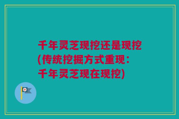 千年灵芝现挖还是现挖(传统挖掘方式重现：千年灵芝现在现挖)