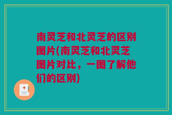 南灵芝和北灵芝的区别图片(南灵芝和北灵芝图片对比,一图了解他们的区别) 南灵芝和北灵芝的区别图片(南灵芝和北灵芝图片对比,一图了解他们的区别)