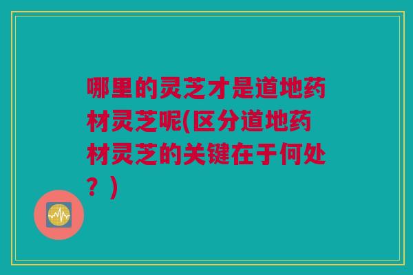 哪里的灵芝才是道地药材灵芝呢(区分道地药材灵芝的关键在于何处？)