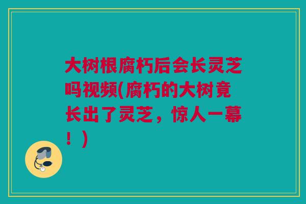 大树根腐朽后会长灵芝吗视频(腐朽的大树竟长出了灵芝，惊人一幕！)