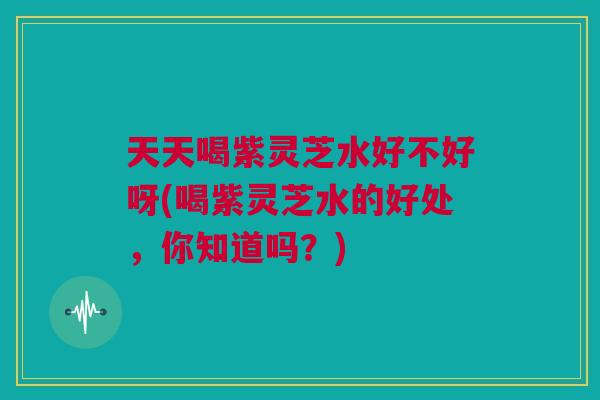 天天喝紫灵芝水好不好呀(喝紫灵芝水的好处,你知道吗?) 天天喝紫灵芝水好不好呀(喝紫灵芝水的好处,你知道吗?)