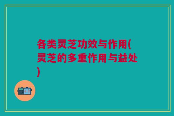 各类灵芝功效与作用(灵芝的多重作用与益处) 各类灵芝功效与作用(灵芝的多重作用与益处)