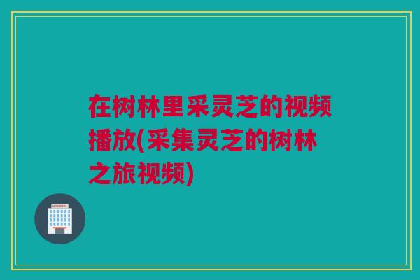 在树林里采灵芝的视频播放(采集灵芝的树林之旅视频) 在树林里采灵芝的视频播放(采集灵芝的树林之旅视频)