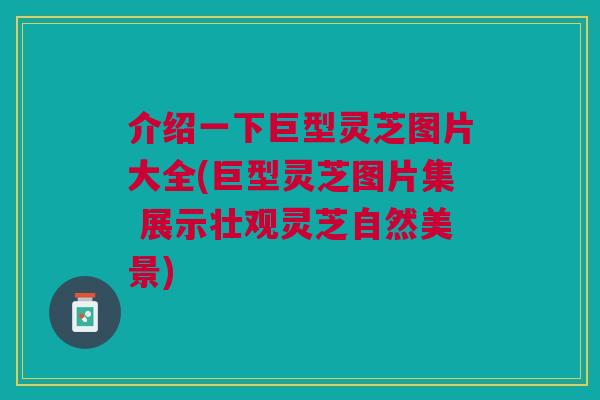 介绍一下巨型灵芝图片大全(巨型灵芝图片集 展示壮观灵芝自然美景)