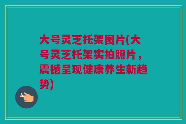 大号灵芝托架图片(大号灵芝托架实拍照片,震撼呈现健康养生新趋势) 大号灵芝托架图片(大号灵芝托架实拍照片,震撼呈现健康养生新趋势)