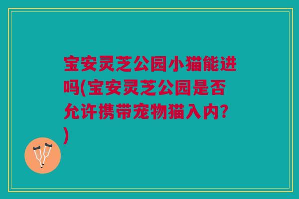 宝安灵芝公园小猫能进吗(宝安灵芝公园是否允许携带宠物猫入内？)