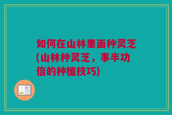 如何在山林里面种灵芝(山林种灵芝，事半功倍的种植技巧)