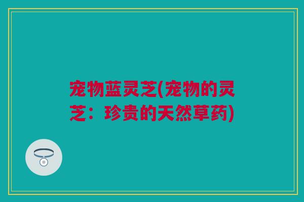 宠物蓝灵芝(宠物的灵芝：珍贵的天然草药)