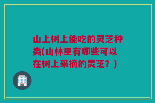 山上树上能吃的灵芝种类(山林里有哪些可以在树上采摘的灵芝?) 山上树上能吃的灵芝种类(山林里有哪些可以在树上采摘的灵芝?)