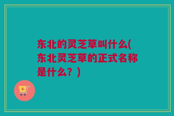 东北的灵芝草叫什么(东北灵芝草的正式名称是什么?) 东北的灵芝草叫什么(东北灵芝草的正式名称是什么?)