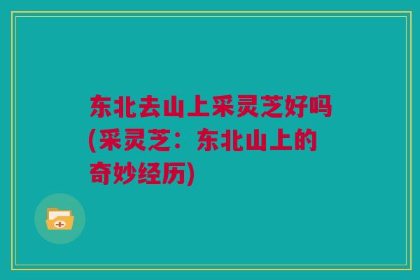 东北去山上采灵芝好吗(采灵芝：东北山上的奇妙经历)