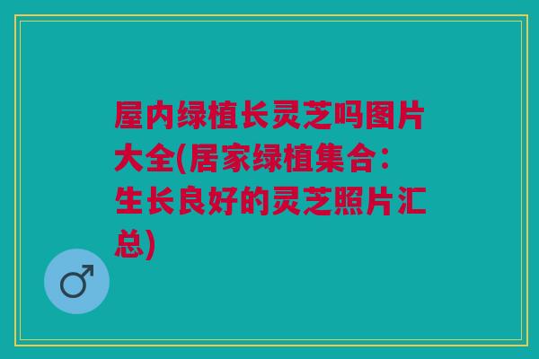 屋内绿植长灵芝吗图片大全(居家绿植集合:生长良好的灵芝照片汇总) 屋内绿植长灵芝吗图片大全(居家绿植集合:生长良好的灵芝照片汇总)