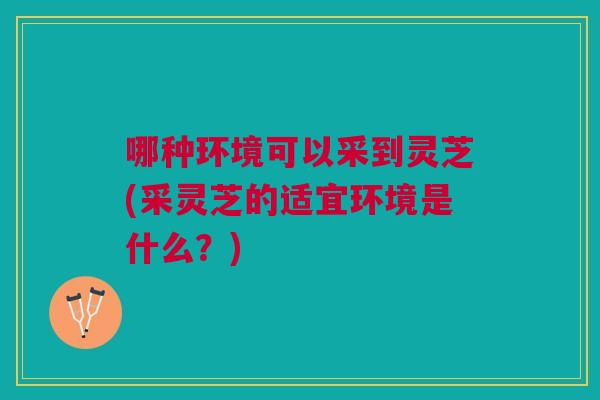 哪种环境可以采到灵芝(采灵芝的适宜环境是什么？)