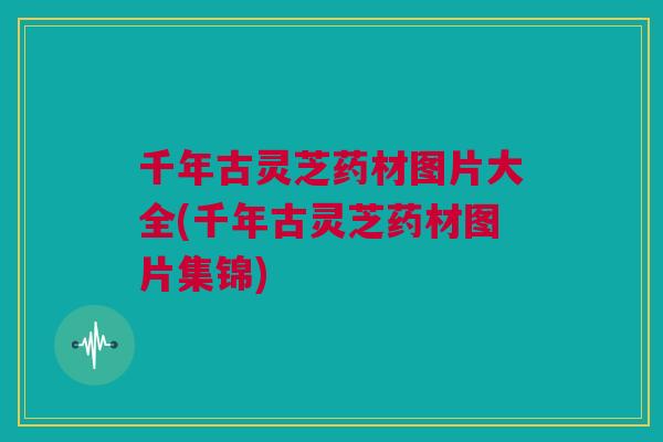 千年古灵芝药材图片大全(千年古灵芝药材图片集锦) 千年古灵芝药材图片大全(千年古灵芝药材图片集锦)