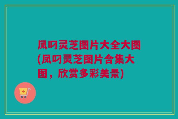 凤叼灵芝图片大全大图(凤叼灵芝图片合集大图，欣赏多彩美景)