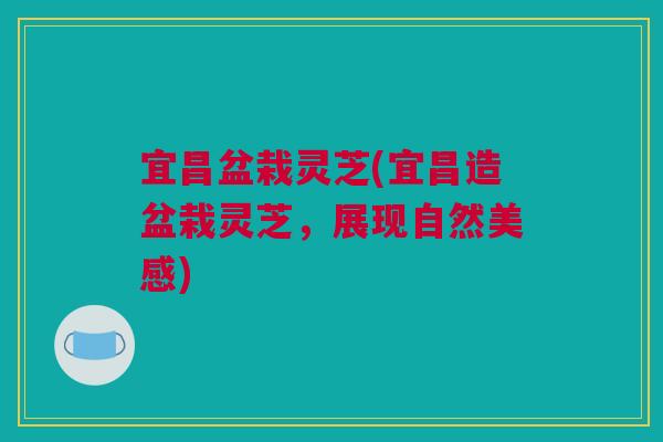 宜昌盆栽灵芝(宜昌造盆栽灵芝,展现自然美感) 宜昌盆栽灵芝(宜昌造盆栽灵芝,展现自然美感)