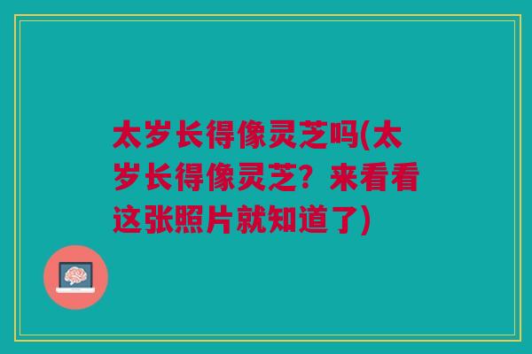 太岁长得像灵芝吗(太岁长得像灵芝？来看看这张照片就知道了)