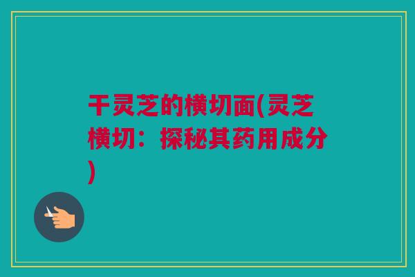 干灵芝的横切面(灵芝横切:探秘其药用成分) 干灵芝的横切面(灵芝横切:探秘其药用成分)