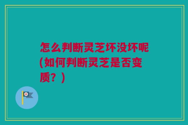 怎么判断灵芝坏没坏呢(如何判断灵芝是否变质?) 怎么判断灵芝坏没坏呢(如何判断灵芝是否变质?)