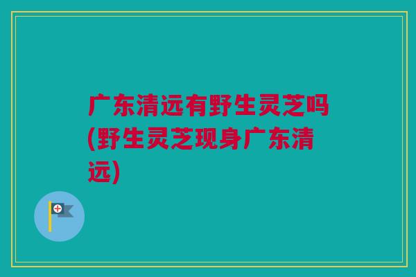 广东清远有野生灵芝吗(野生灵芝现身广东清远) 广东清远有野生灵芝吗(野生灵芝现身广东清远)