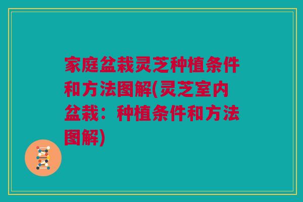 家庭盆栽灵芝种植条件和方法图解(灵芝室内盆栽:种植条件和方法图解) 家庭盆栽灵芝种植条件和方法图解(灵芝室内盆栽:种植条件和方法图解)
