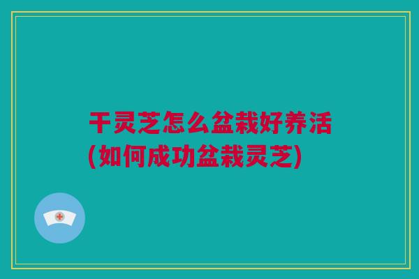 干灵芝怎么盆栽好养活(如何成功盆栽灵芝) 干灵芝怎么盆栽好养活(如何成功盆栽灵芝)