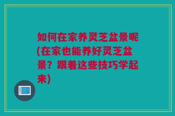 如何在家养灵芝盆景呢(在家也能养好灵芝盆景？跟着这些技巧学起来)