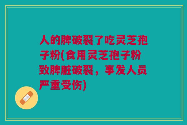 人的脾破裂了吃灵芝孢子粉(食用灵芝孢子粉致脾脏破裂，事发人员严重受伤)